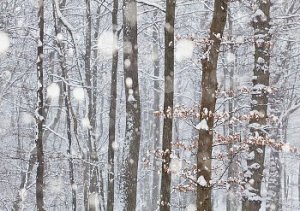 © Copyright 2012 CorbisCorporation