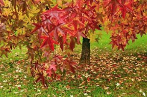 © Copyright 2013 CorbisCorporation