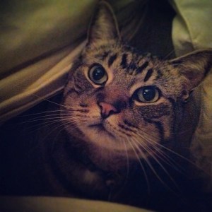 "Quit hoggin' the covers."